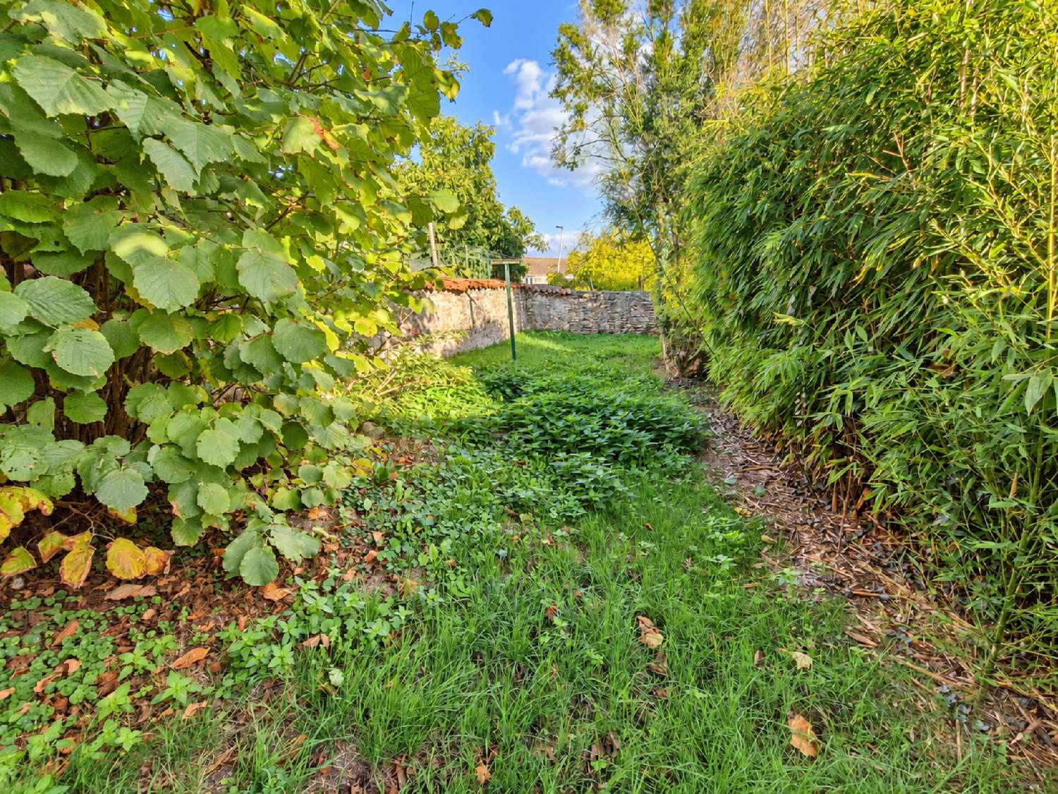 for sale house Tonnay-Boutonne Charente-Maritime 7