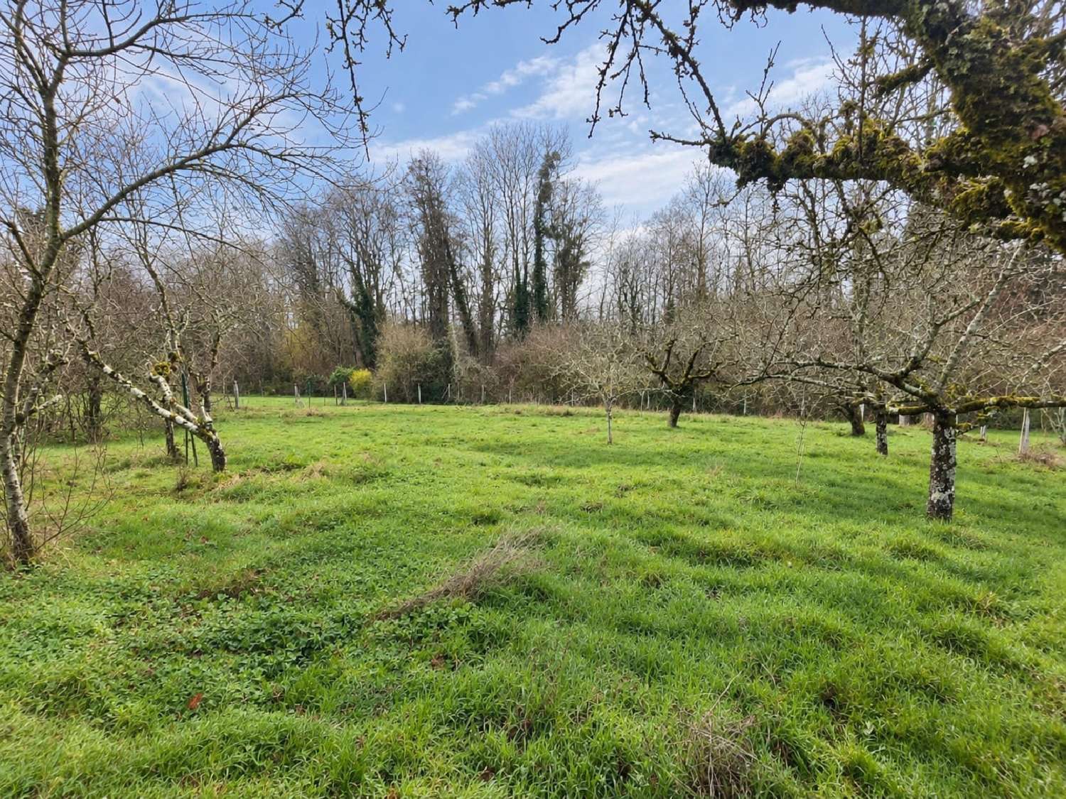  for sale house Toucy Yonne 3