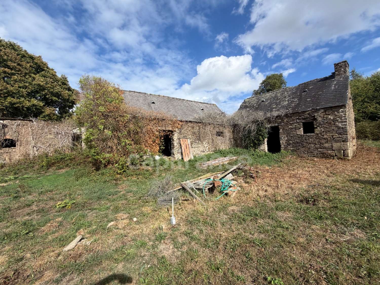  for sale house Trébrivan Côtes-d'Armor 3