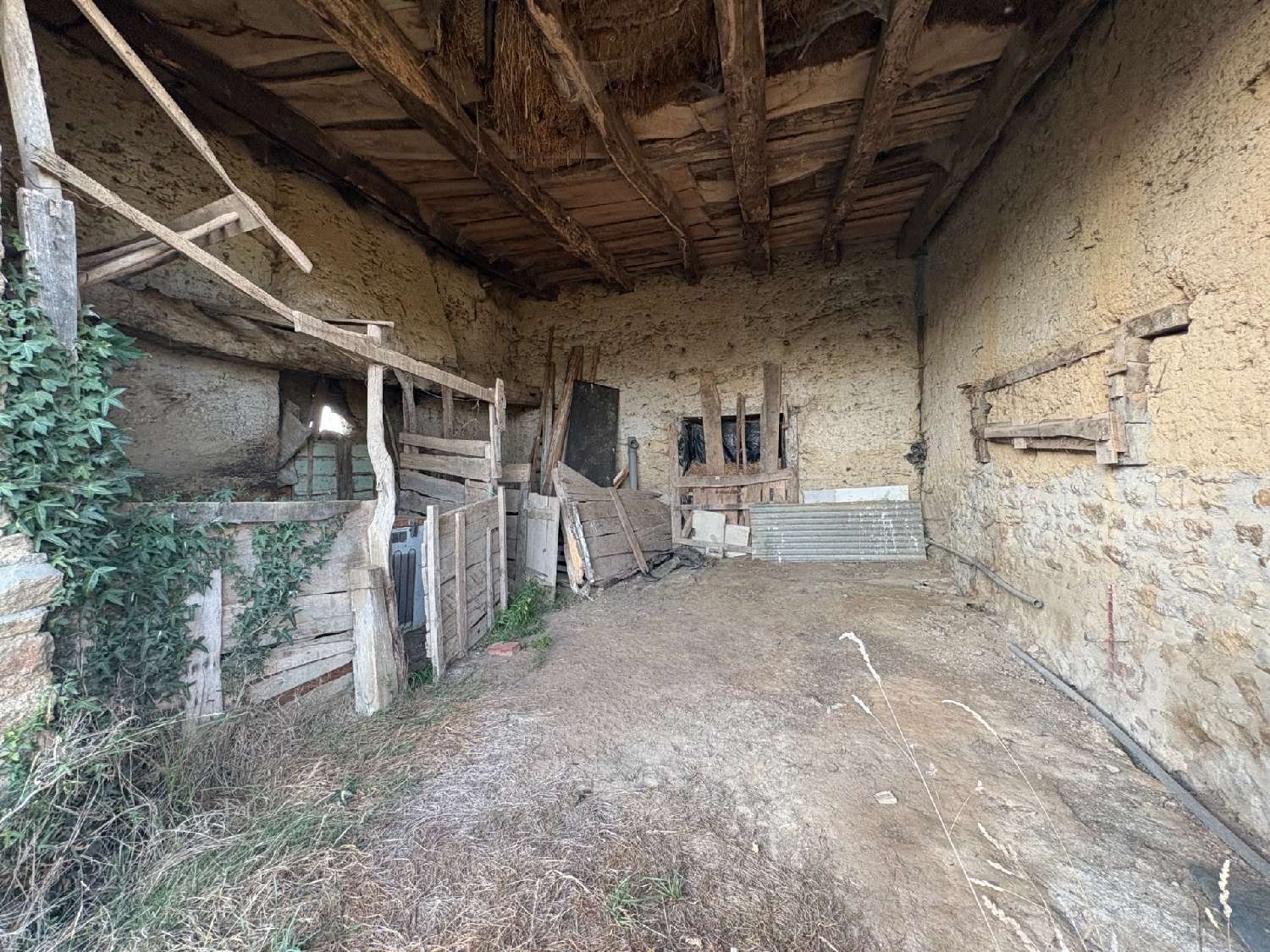  à vendre maison Trémorel Côtes-d'Armor 4