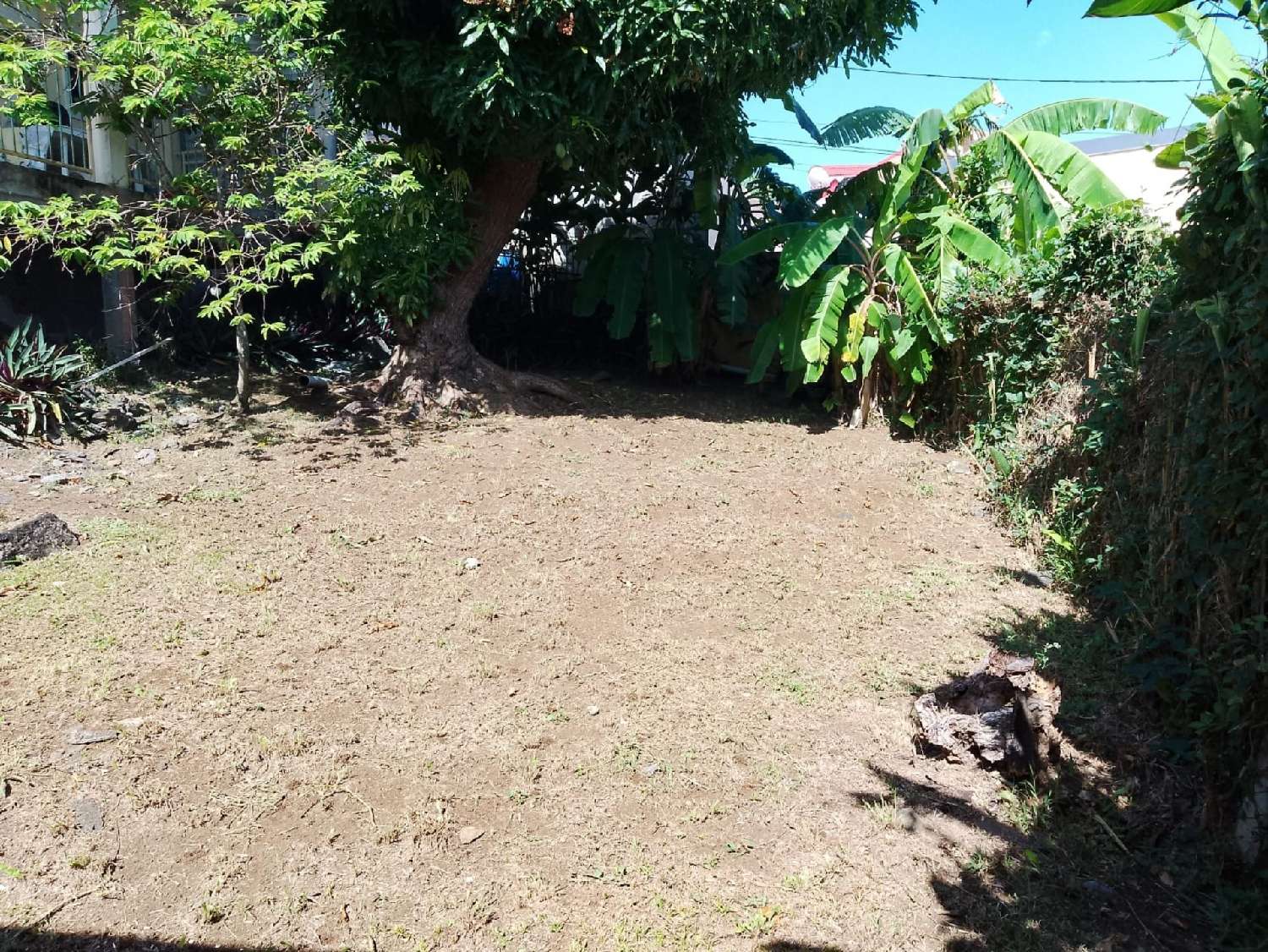 for sale house Trois-Rivières Guadeloupe 5