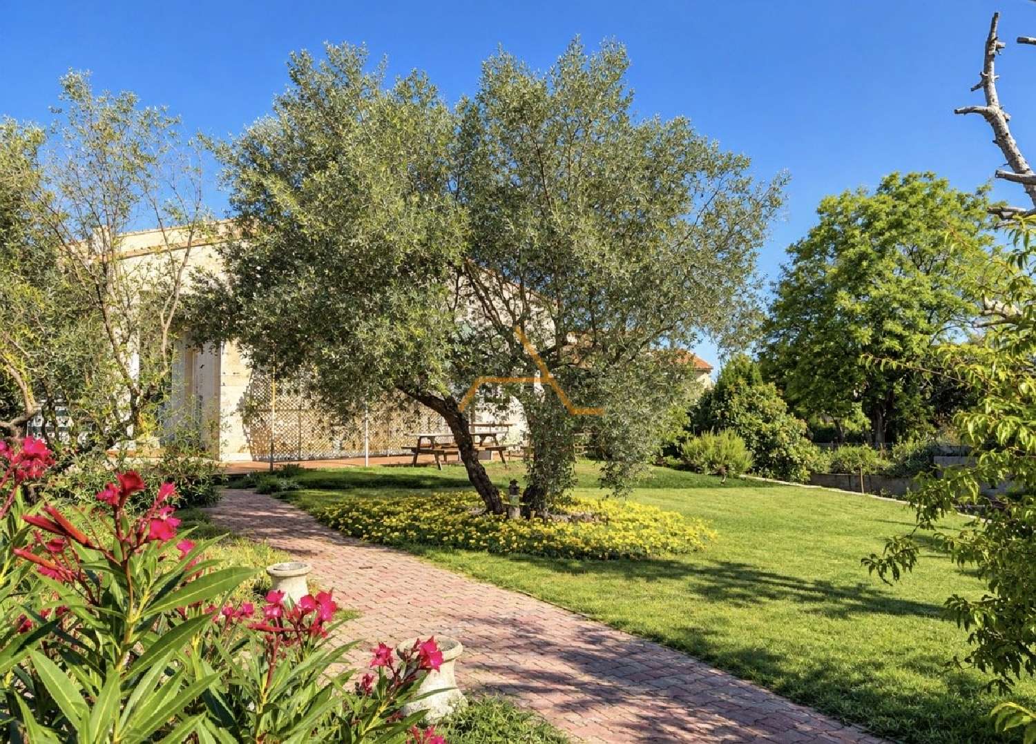 à vendre maison Valréas Vaucluse 1