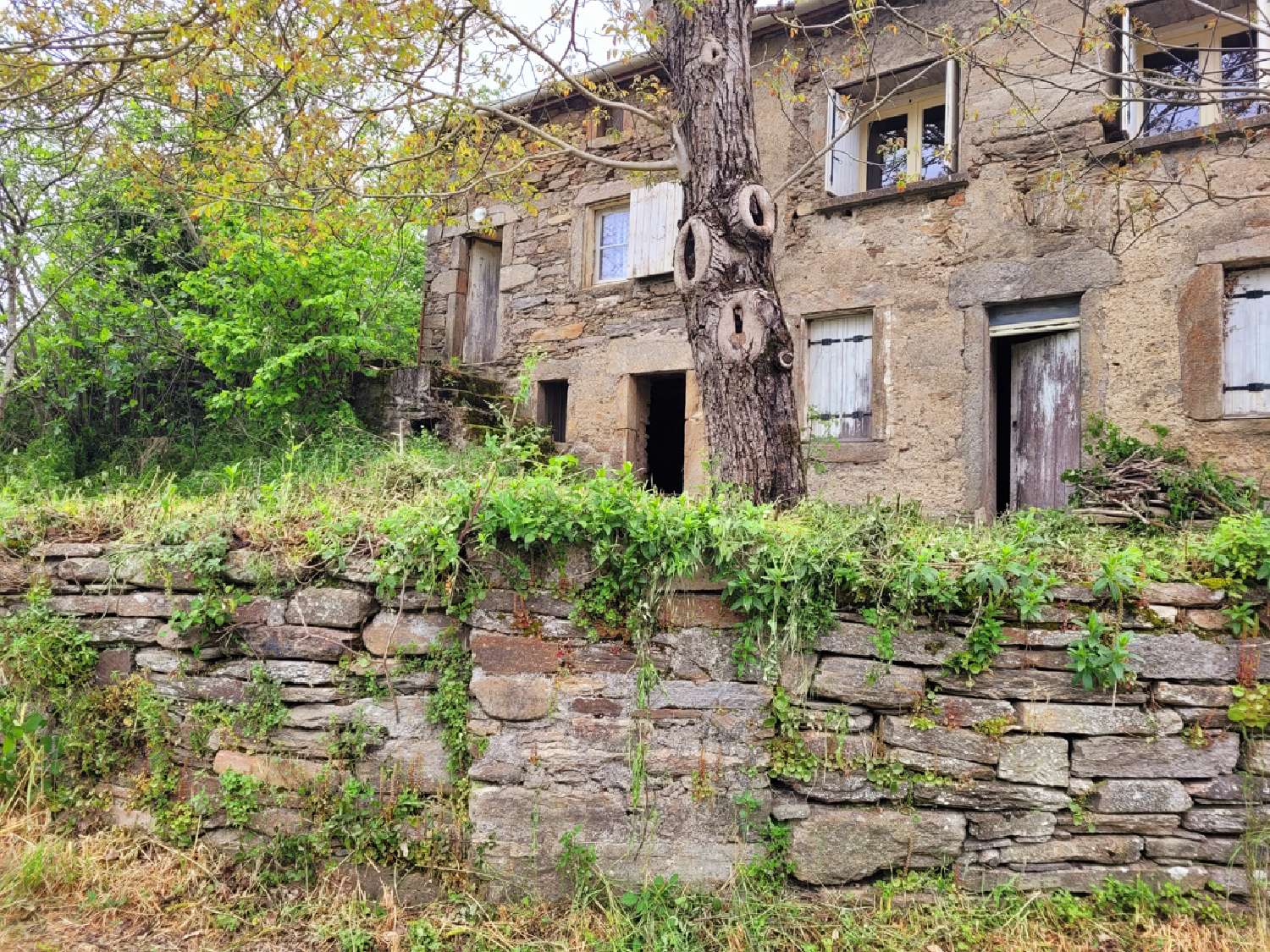 en venta casa Vélieux Hérault 2
