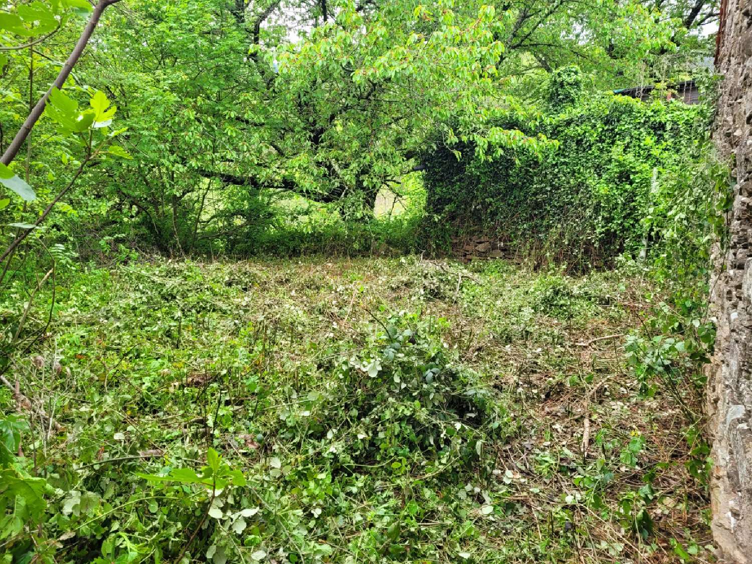 en venta casa Vélieux Hérault 3