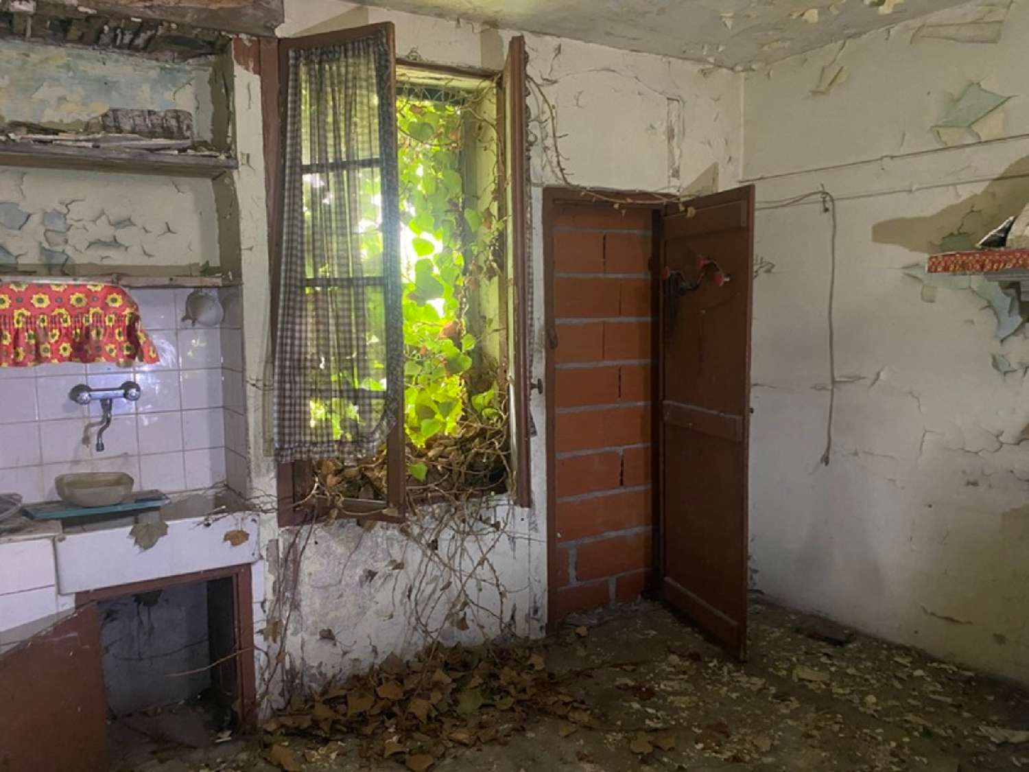 à vendre maison Villefranche-de-Conflent Pyrénées-Orientales 6