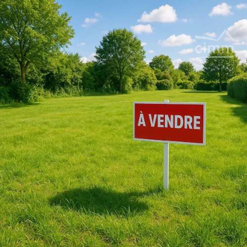Vineuil Loir-et-Cher maison foto 7426109
