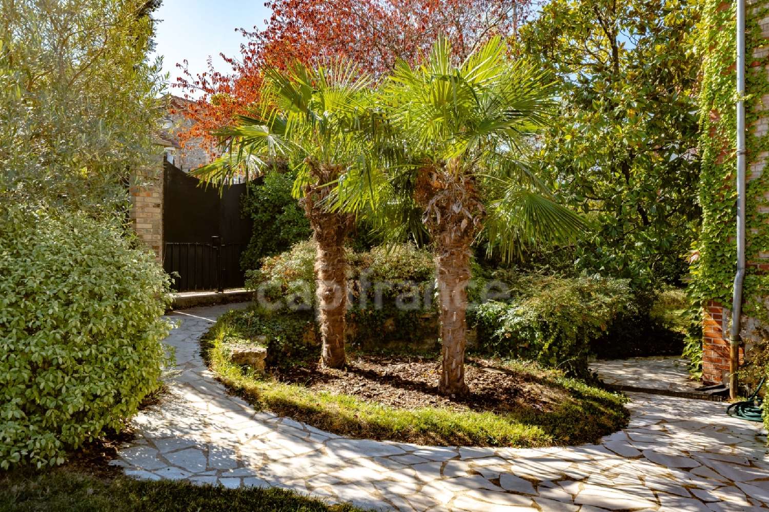 for sale mansion Le Chesnay Yvelines 3