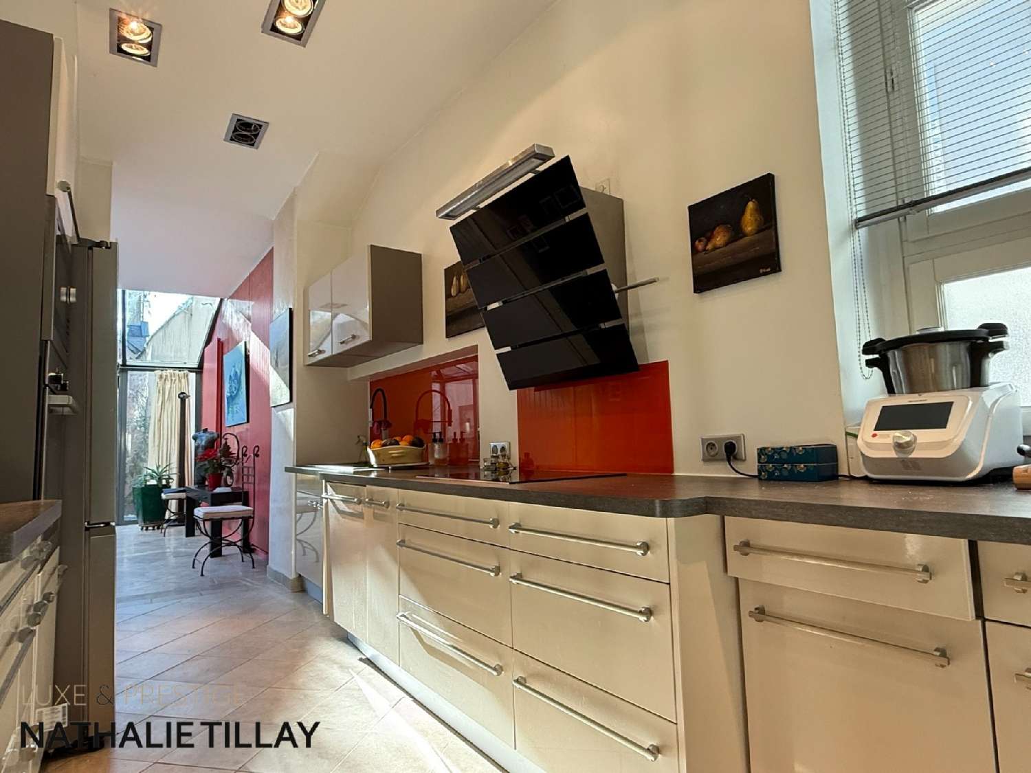 for sale mansion Orléans Loiret 8