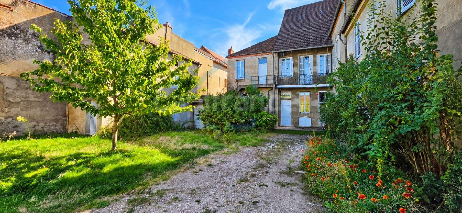  à vendre maison bourgeoise Saint-Jean-de-Losne Côte-d'Or 5