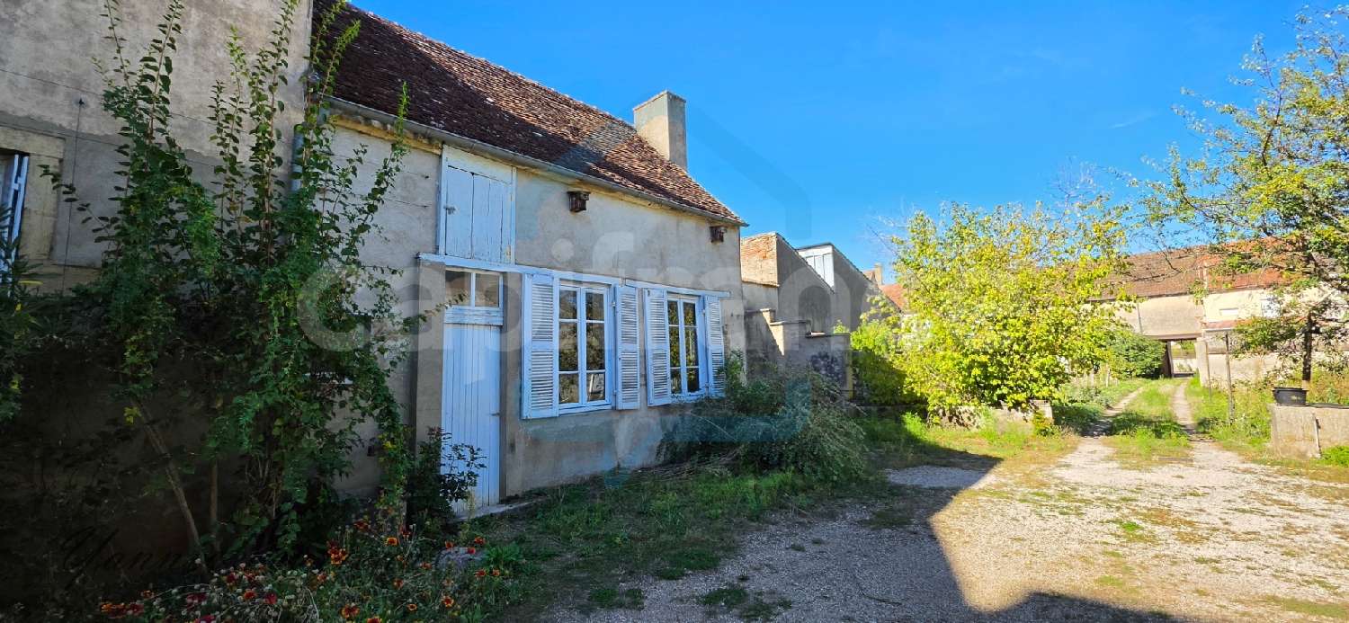  à vendre maison bourgeoise Saint-Jean-de-Losne Côte-d'Or 6