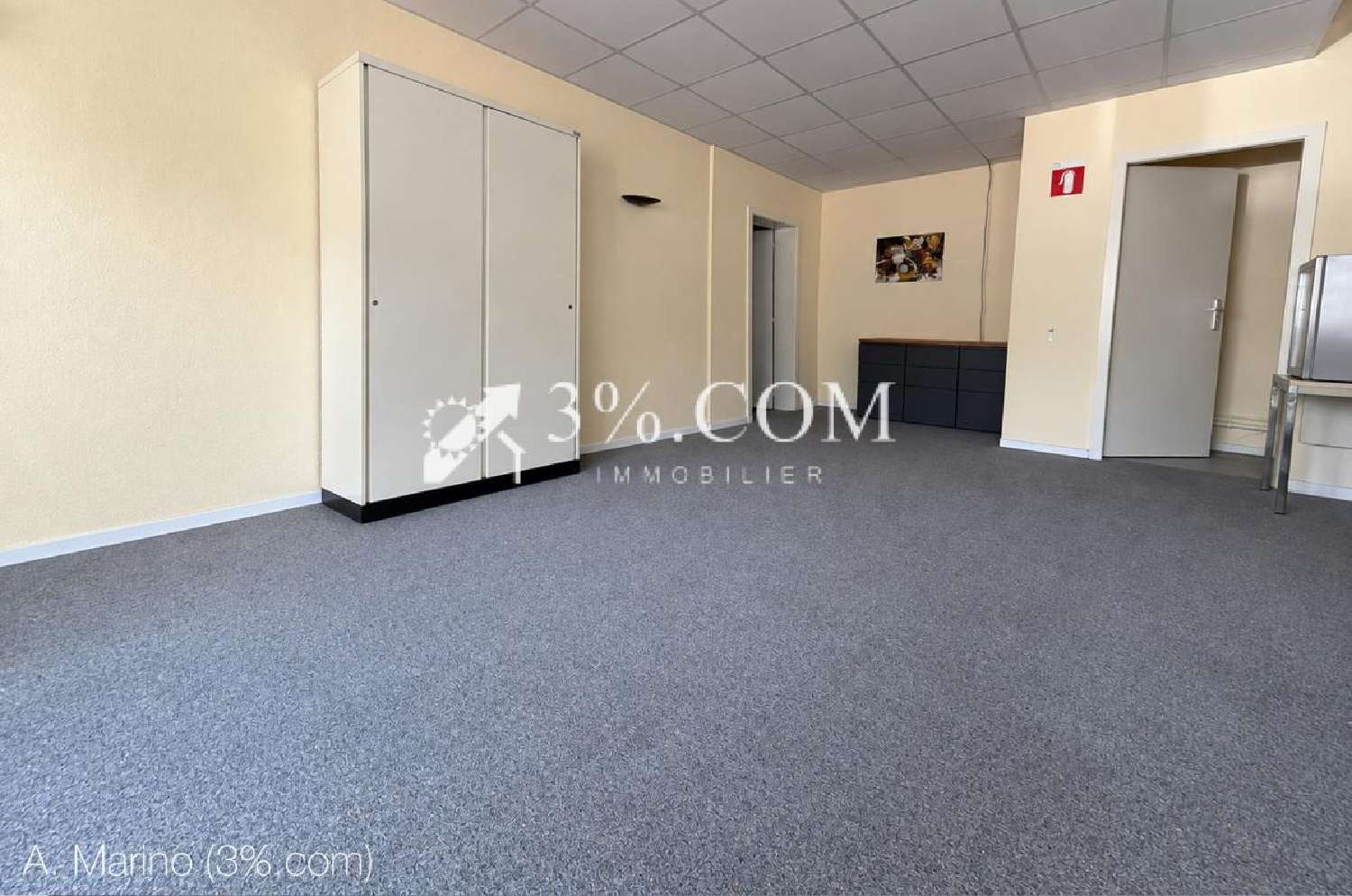 à vendre bureau Eckbolsheim Bas-Rhin 3