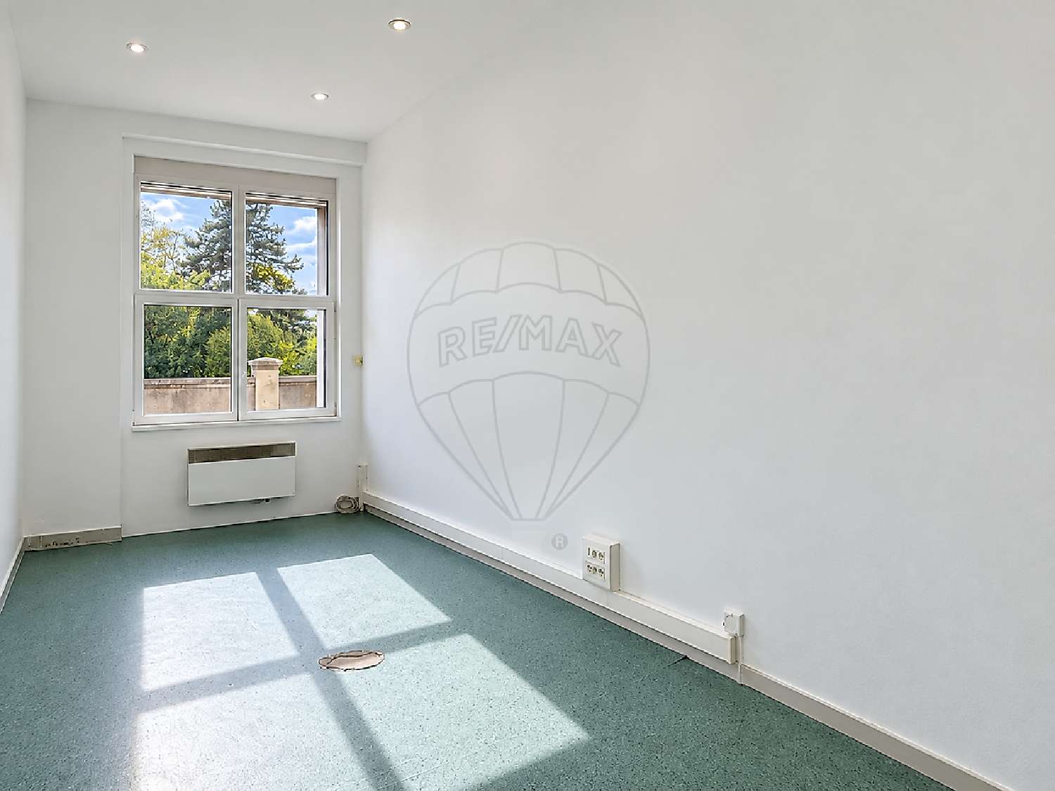 for sale office Feldkirch Haut-Rhin 2
