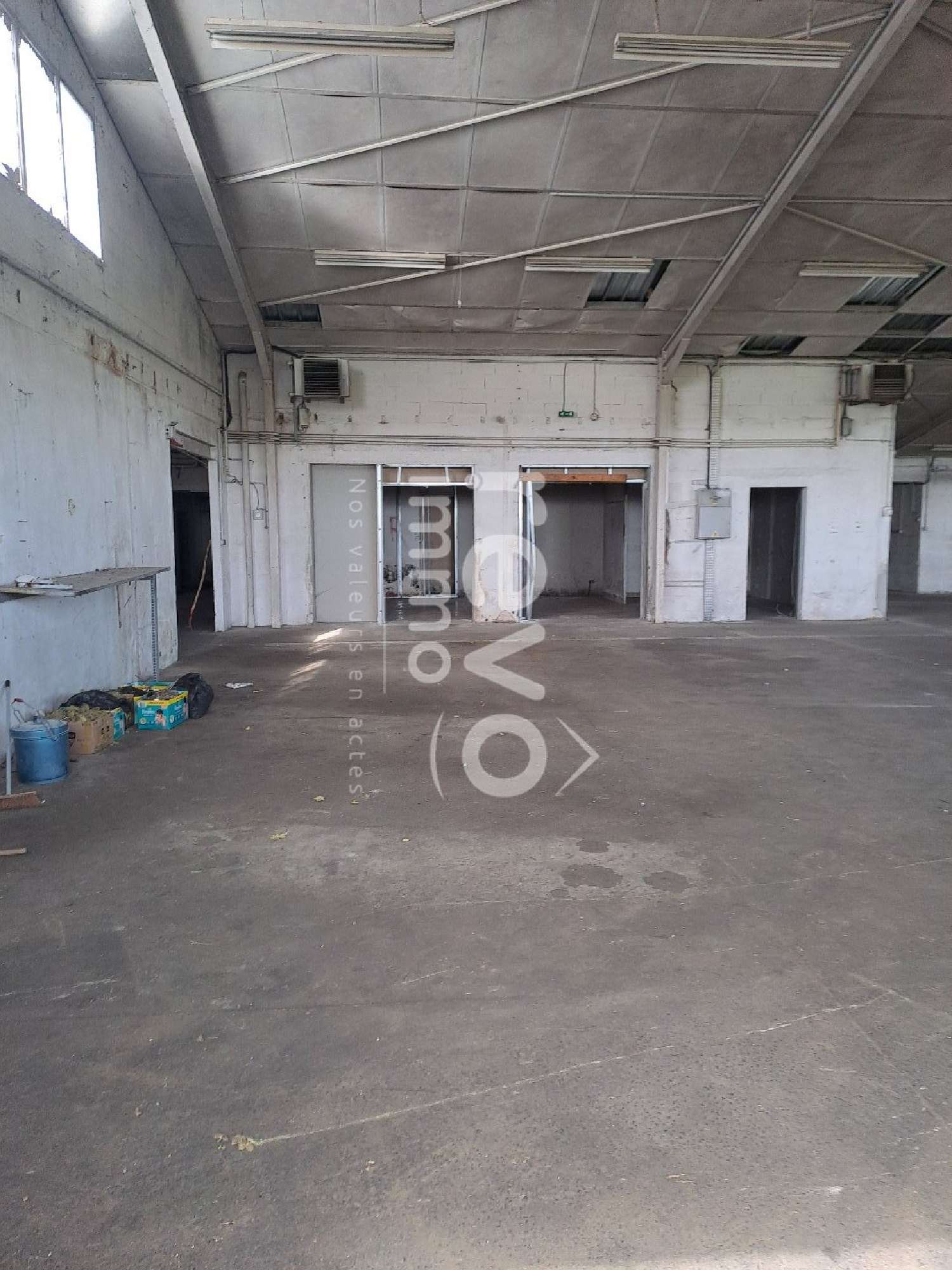 te koop kantoor Le Puy-Saint-Bonnet Maine-et-Loire 2