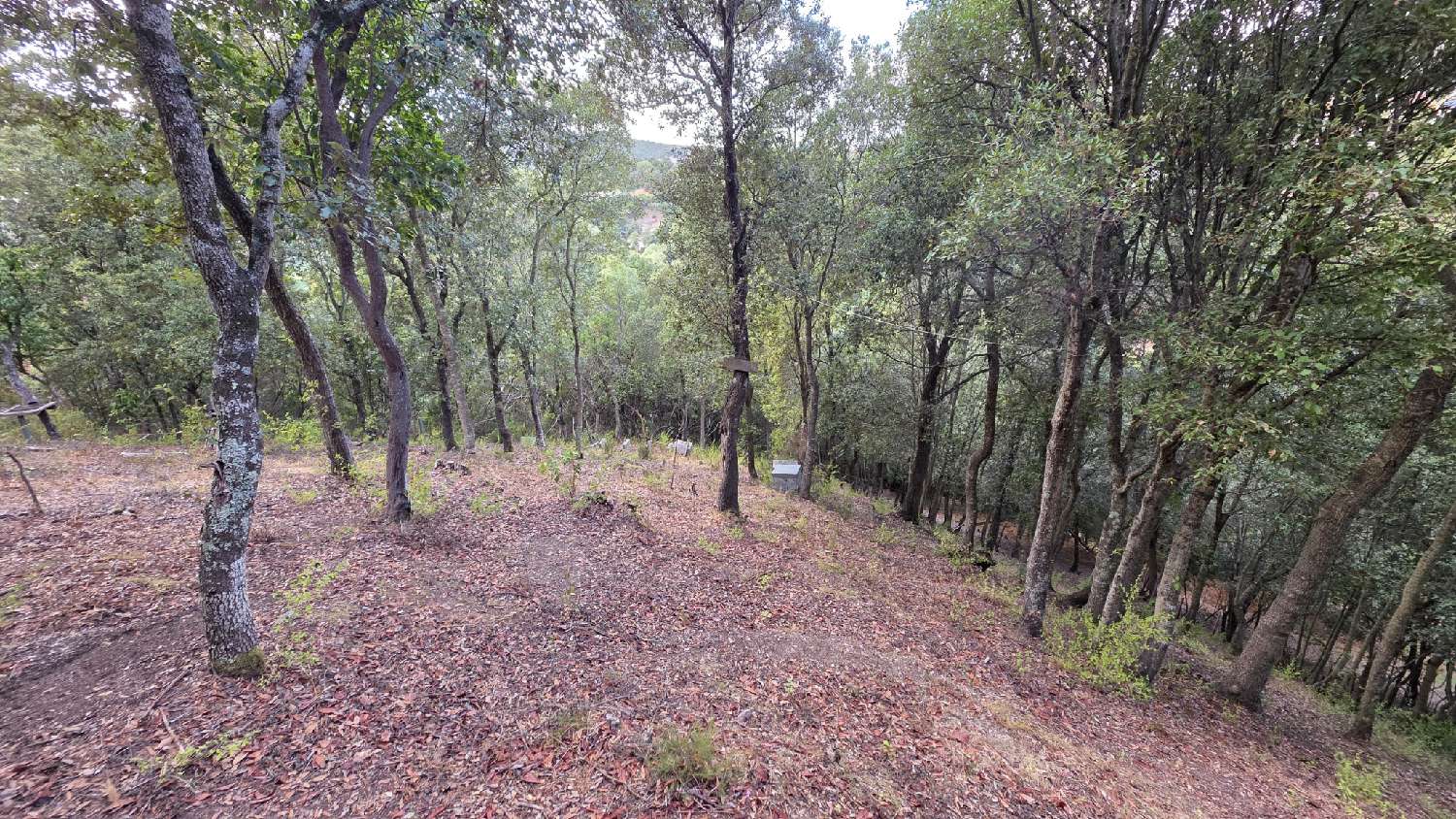 à vendre terrain Alata Corse-du-Sud 1