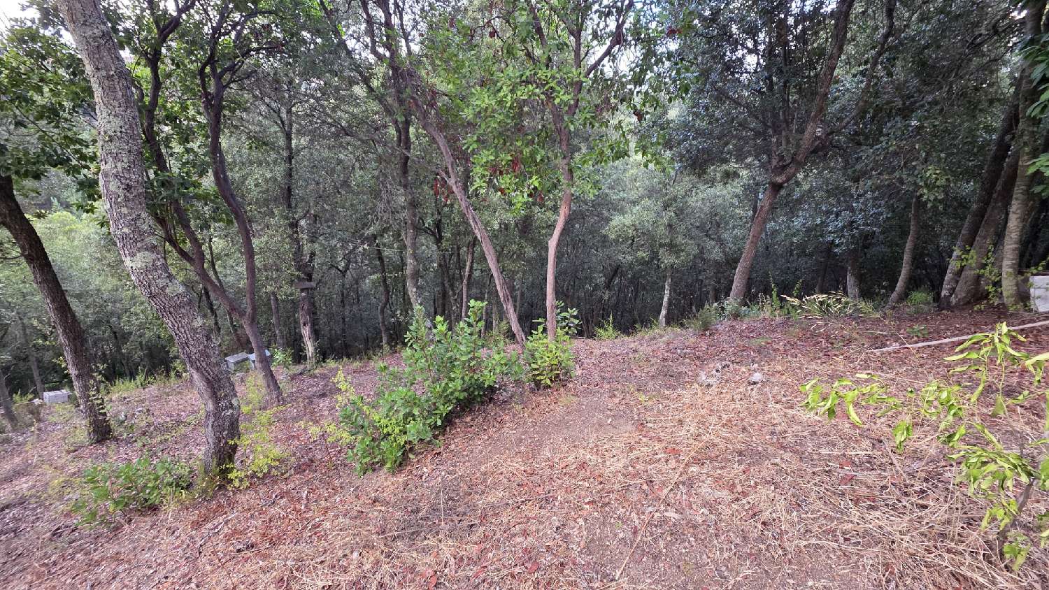 à vendre terrain Alata Corse-du-Sud 2