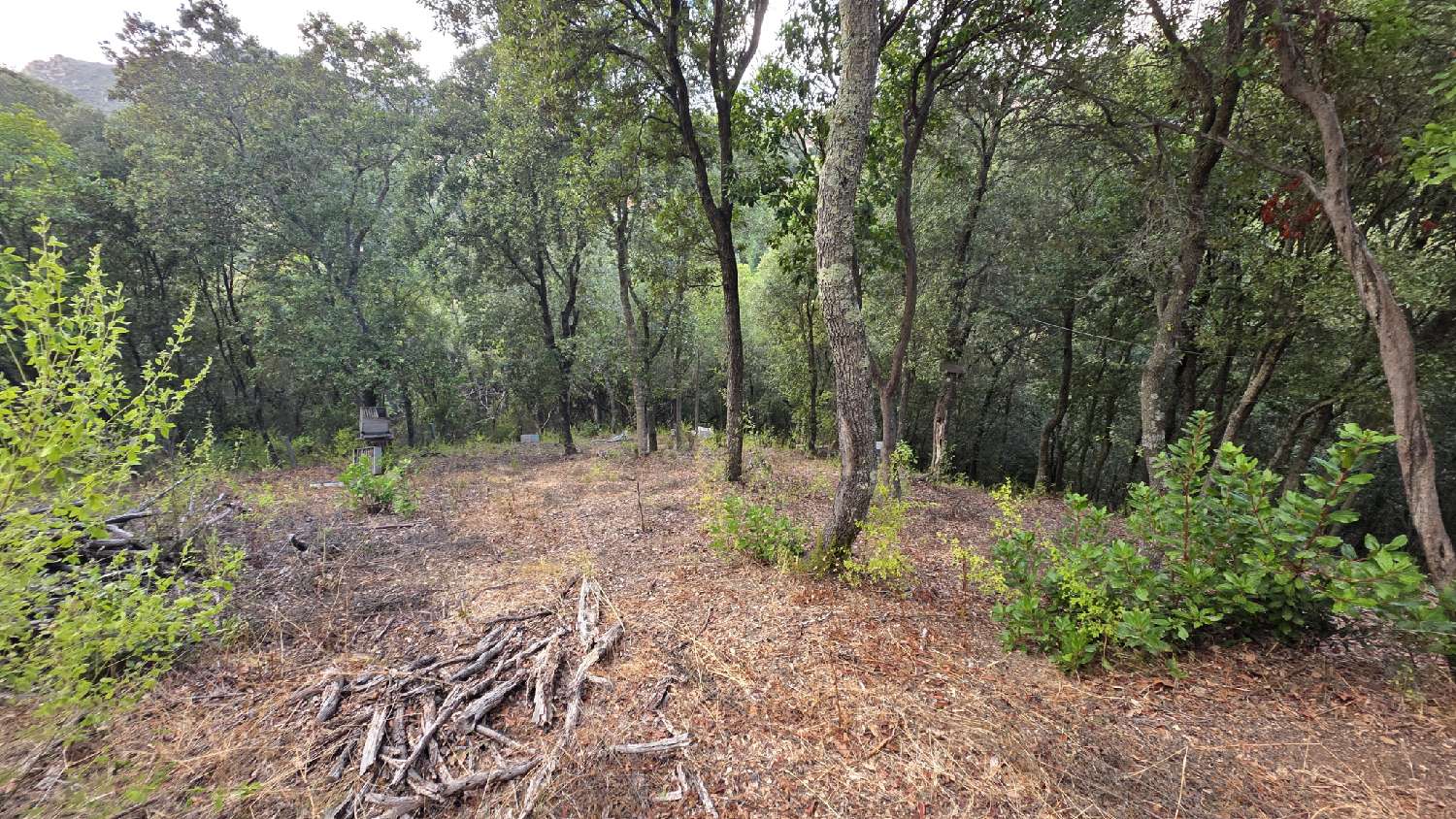 à vendre terrain Alata Corse-du-Sud 3
