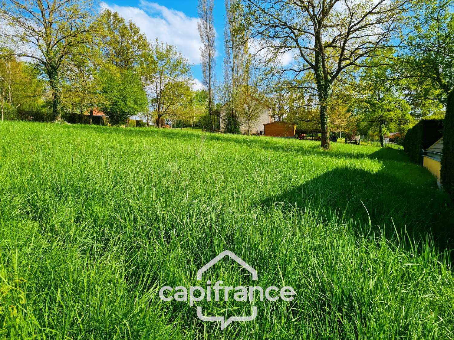  à vendre terrain Allériot Saône-et-Loire 1