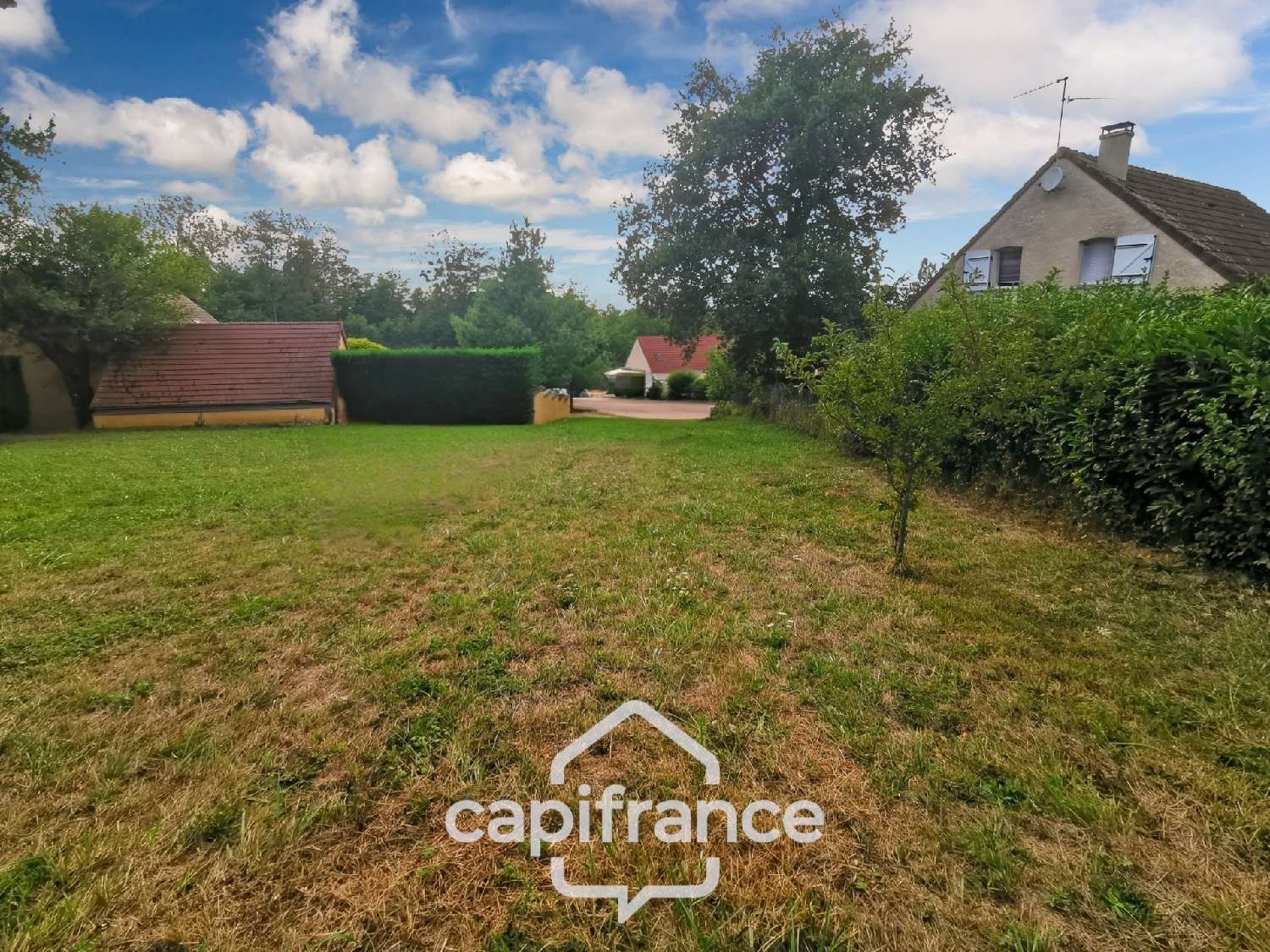  à vendre terrain Allériot Saône-et-Loire 4