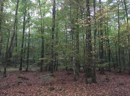 Auneau Eure-et-Loir terrain foto 7426370