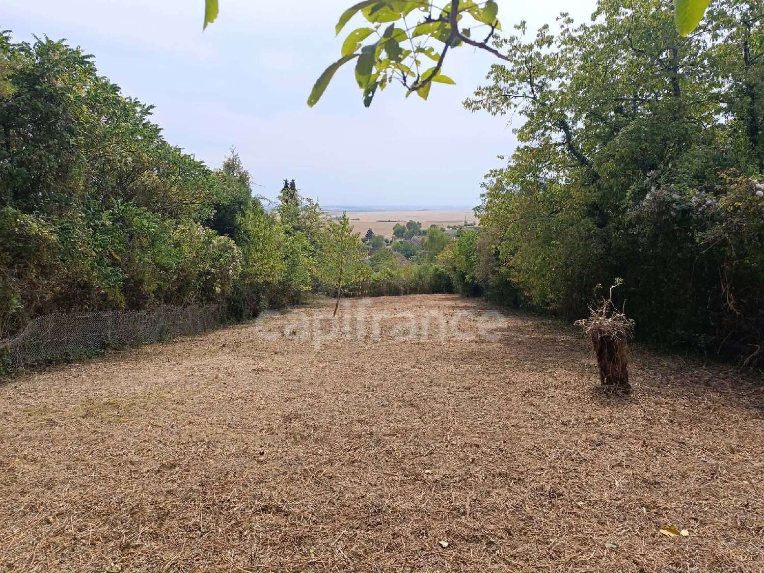  te koop terrein Bellechaume Yonne 1