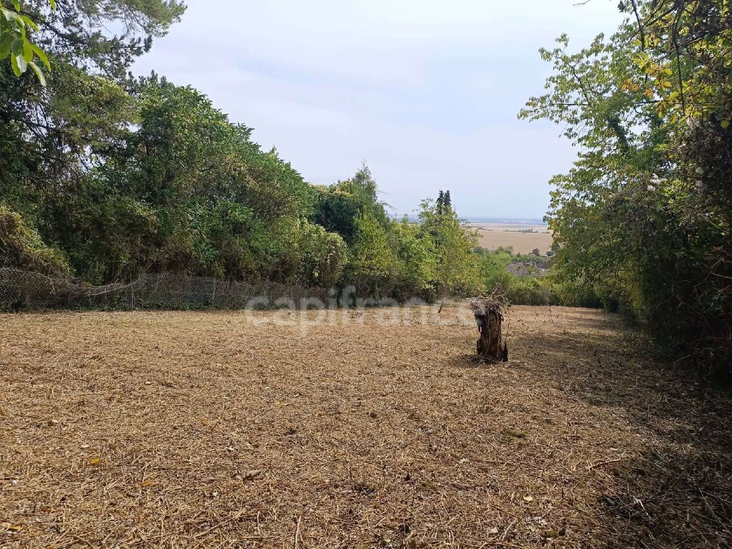  te koop terrein Bellechaume Yonne 3