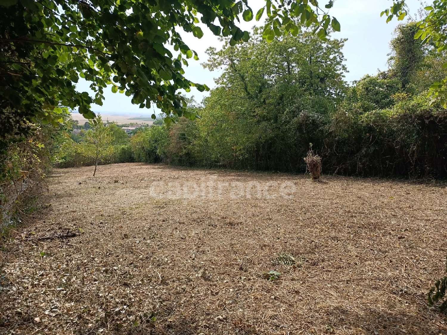  te koop terrein Bellechaume Yonne 4