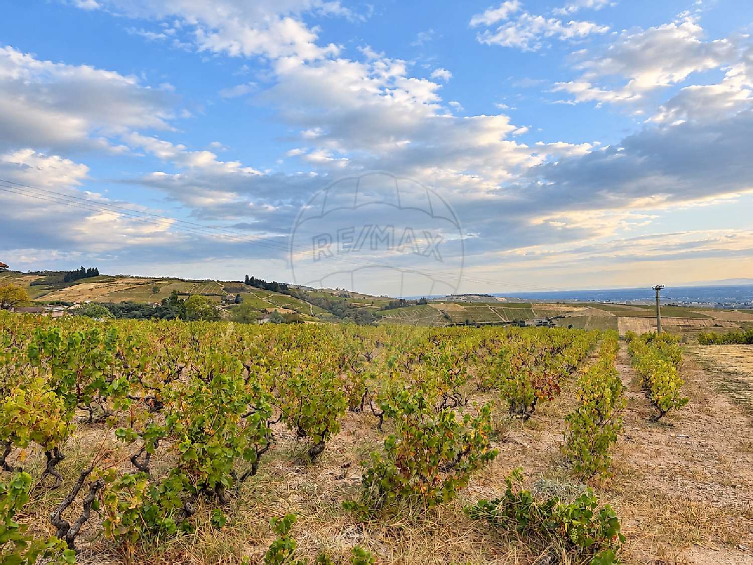 for sale terrain Belleville Rhône 3