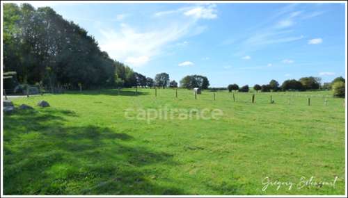 Bienvillers-au-Bois Pas-de-Calais terrain foto 7428100