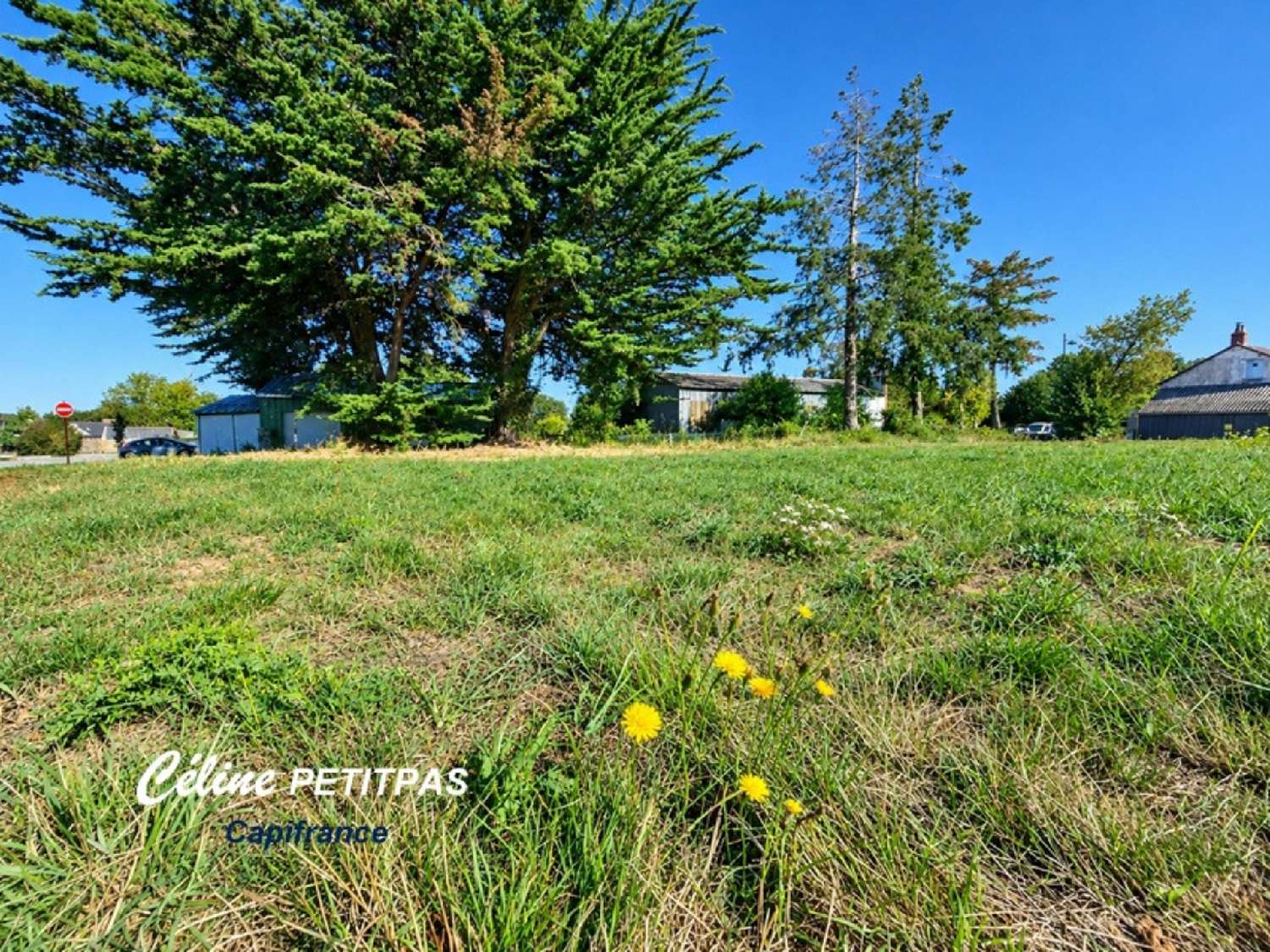  for sale terrain Bléruais Ille-et-Vilaine 1