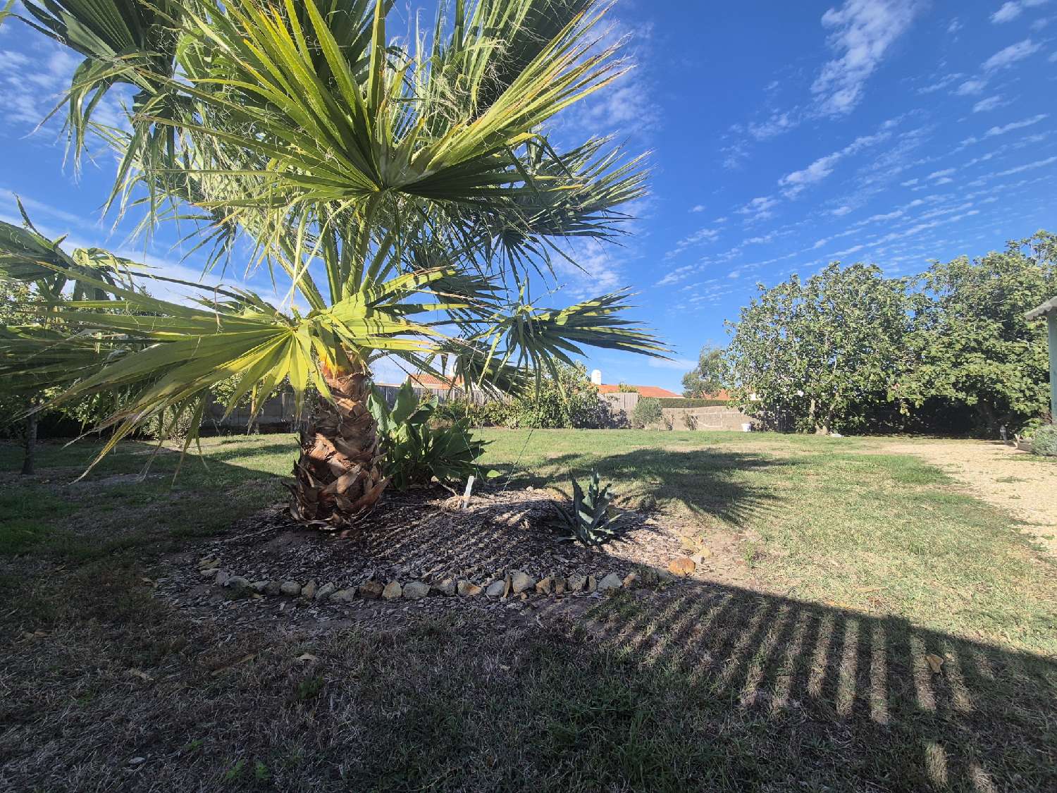kaufen Grundstück Bouin Vendée 2