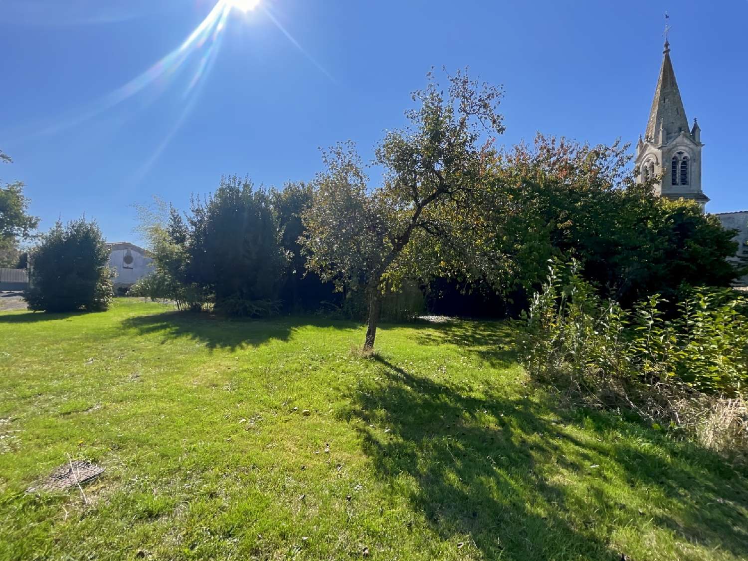 for sale terrain Bourgneuf Charente-Maritime 2