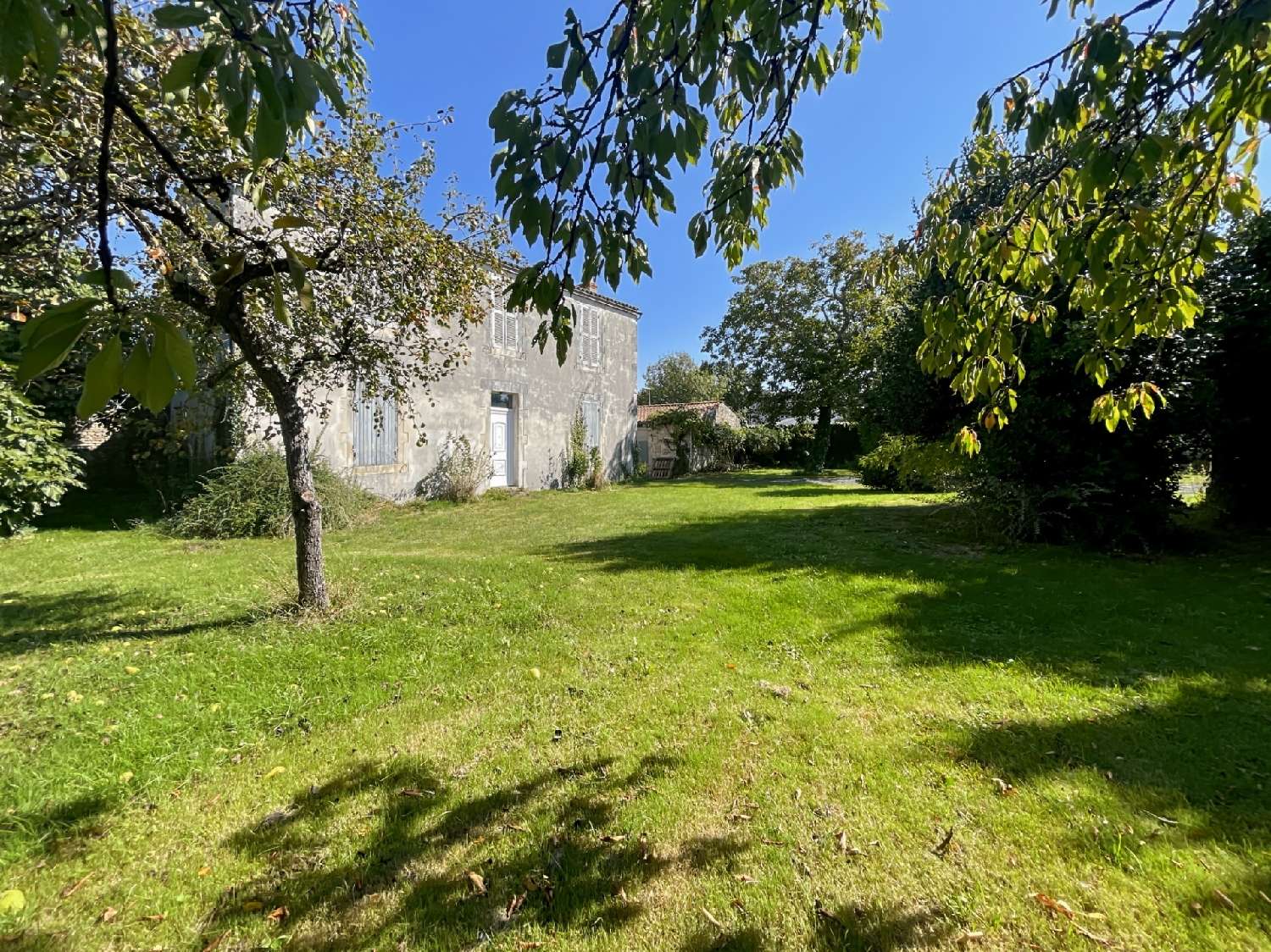 for sale terrain Bourgneuf Charente-Maritime 3