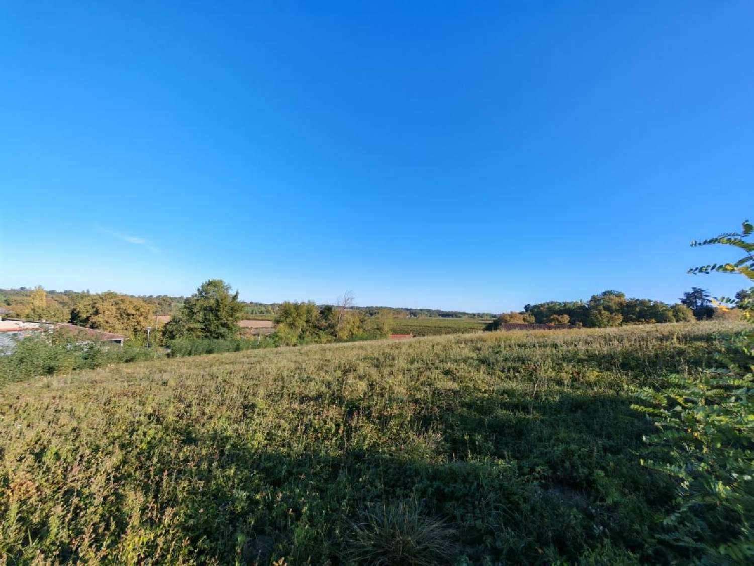  à vendre terrain Bretagne-d'Armagnac Gers 3