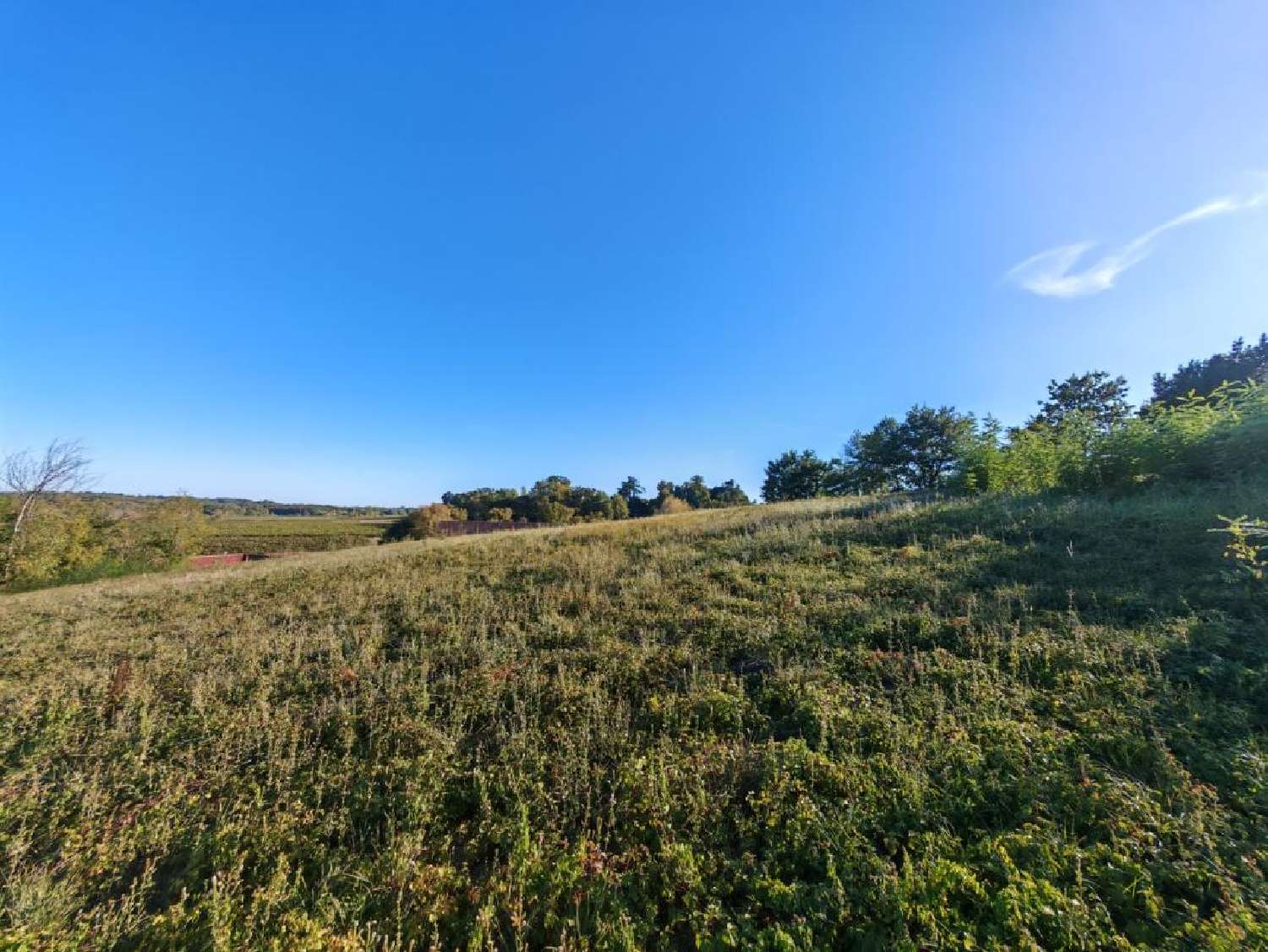  à vendre terrain Bretagne-d'Armagnac Gers 4