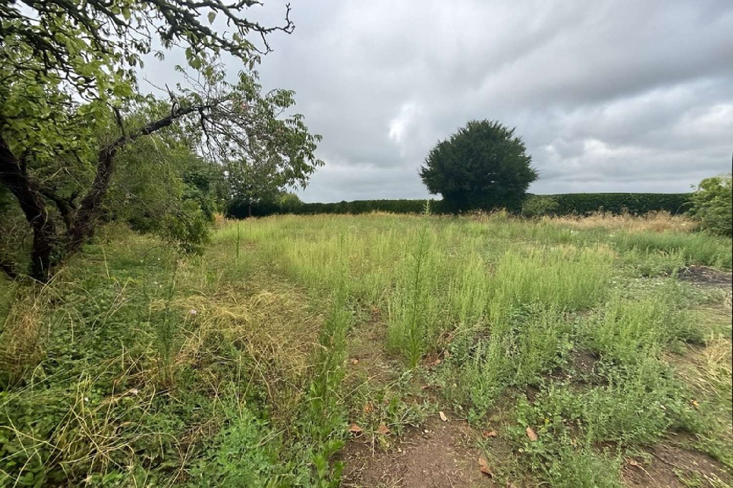 for sale terrain Brion Maine-et-Loire 1