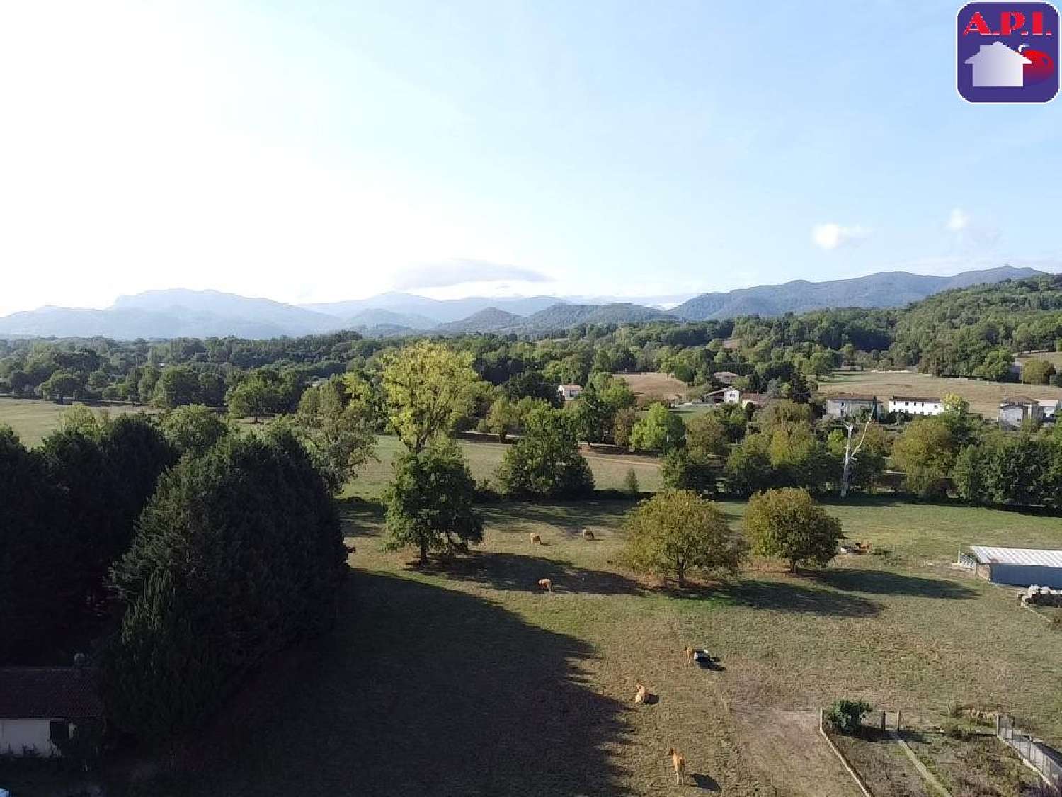  à vendre terrain Caumont Ariège 3
