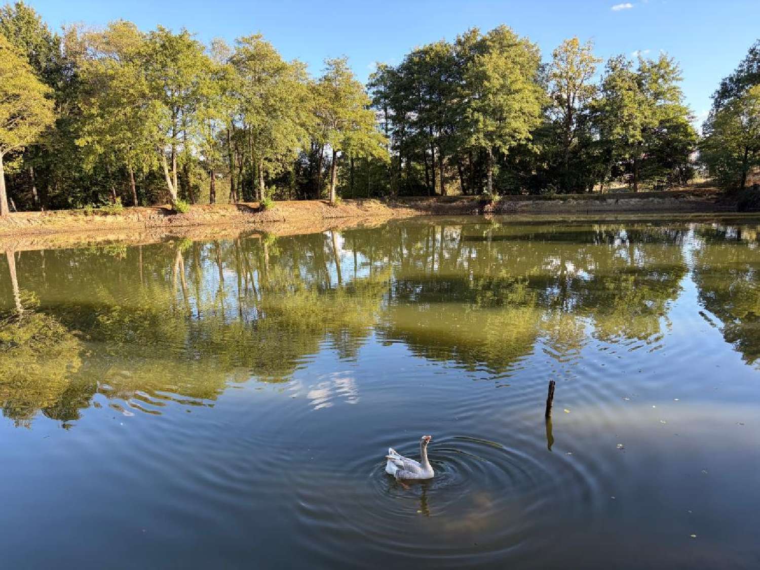 te koop terrein Château-Guibert Vendée 1