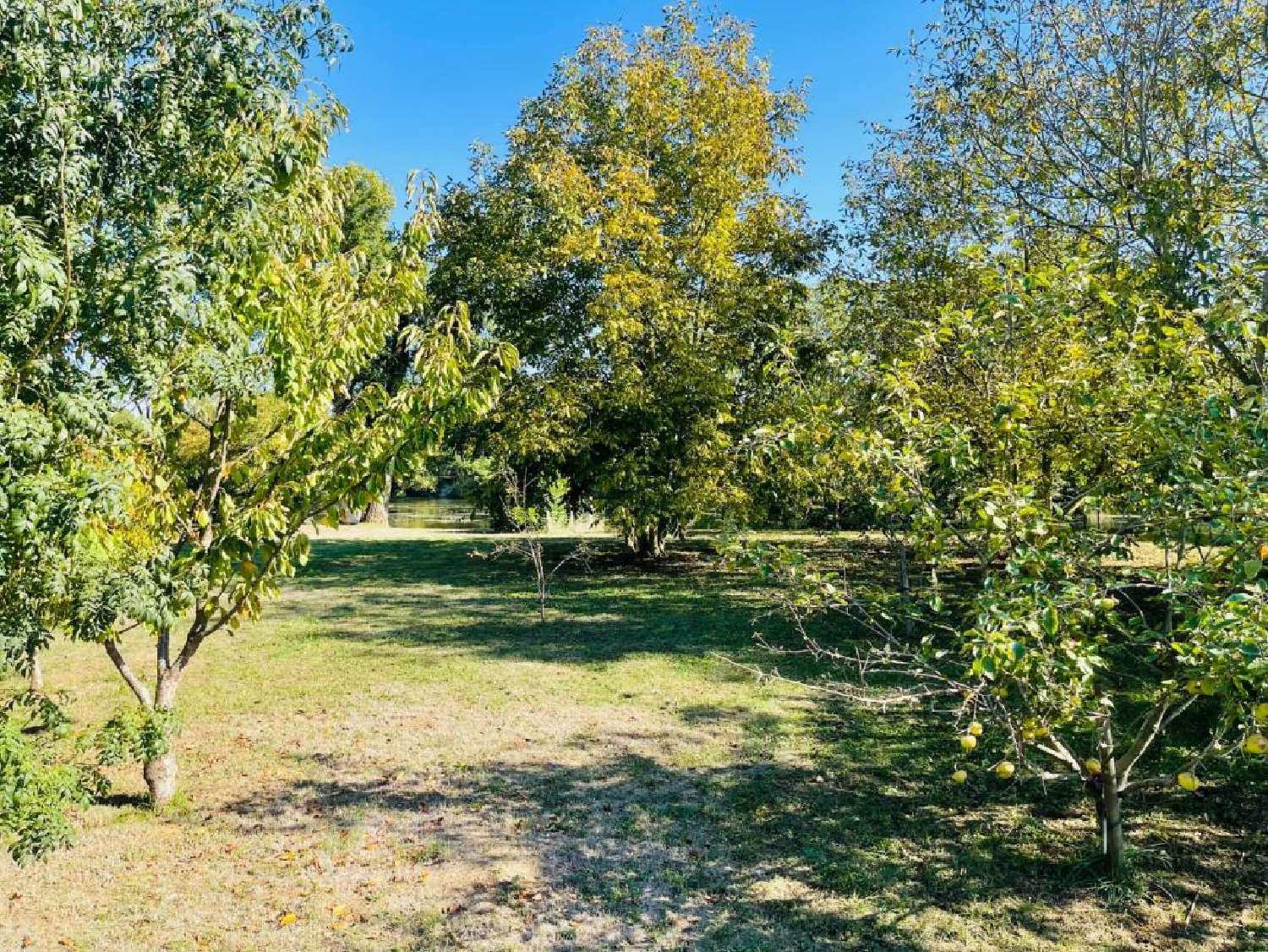 te koop terrein Chauvigny Vienne 2