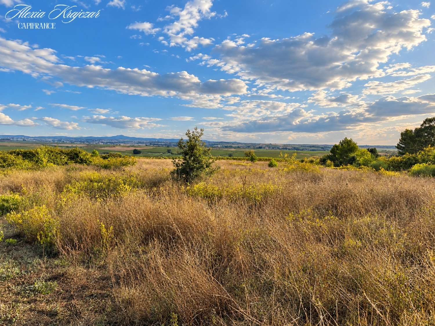 for sale terrain Corneilhan Hérault 3