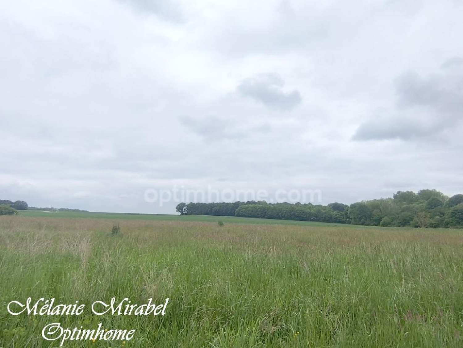 for sale terrain Courdemanche Eure 2