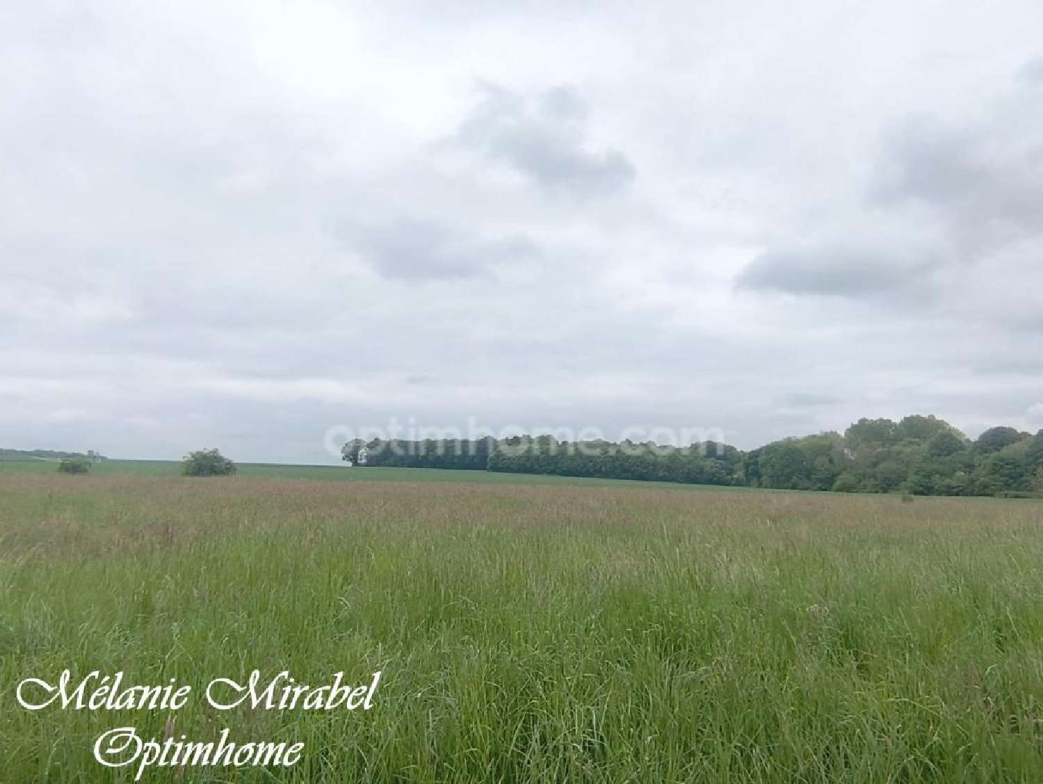 for sale terrain Courdemanche Eure 4