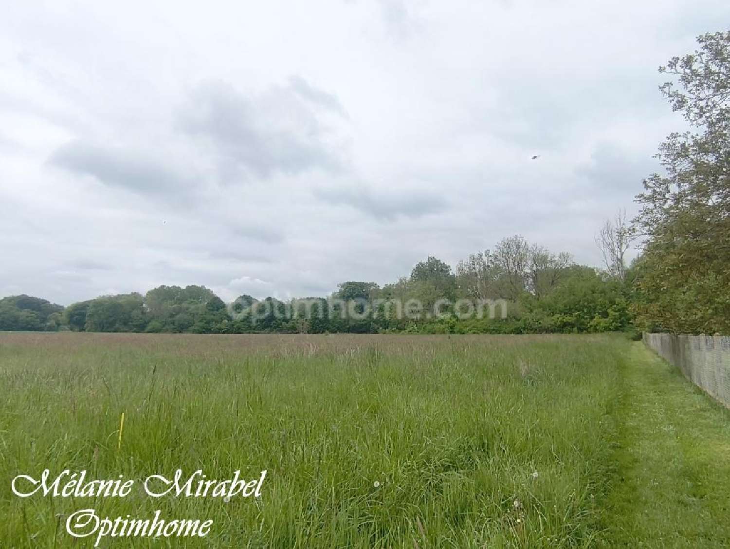 for sale terrain Courdemanche Eure 6