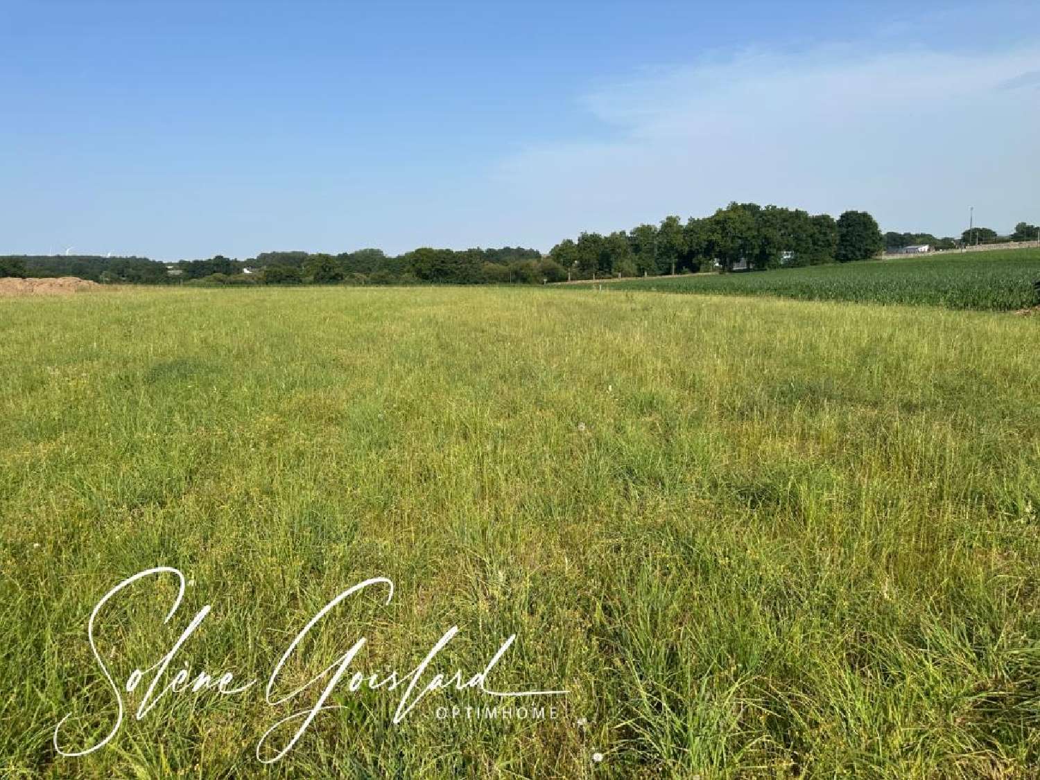  à vendre terrain Cournon Morbihan 2