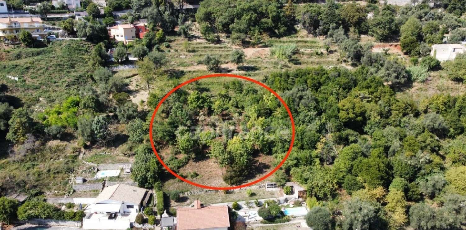 for sale terrain Falicon Alpes-Maritimes 2