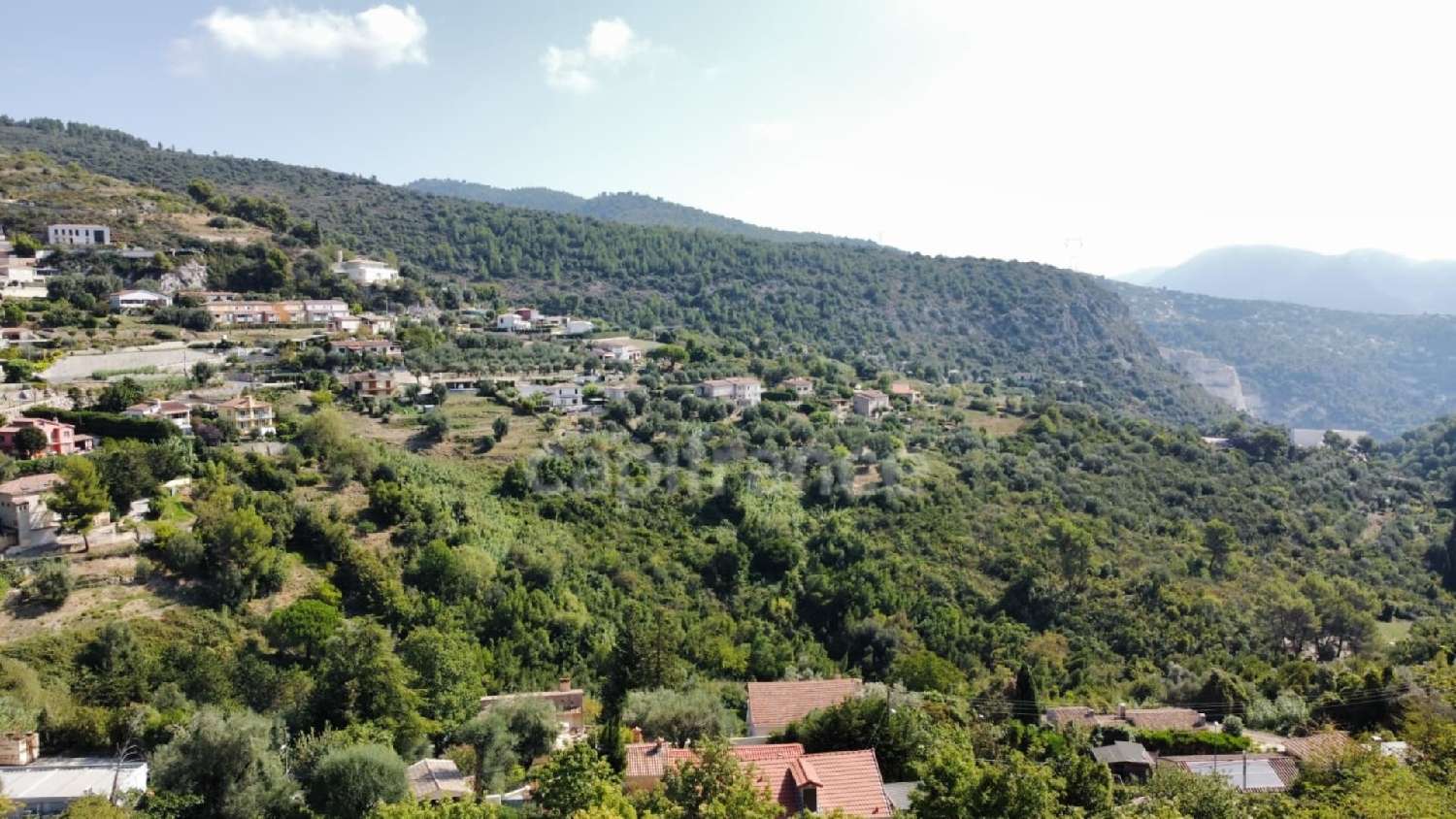  for sale terrain Falicon Alpes-Maritimes 3
