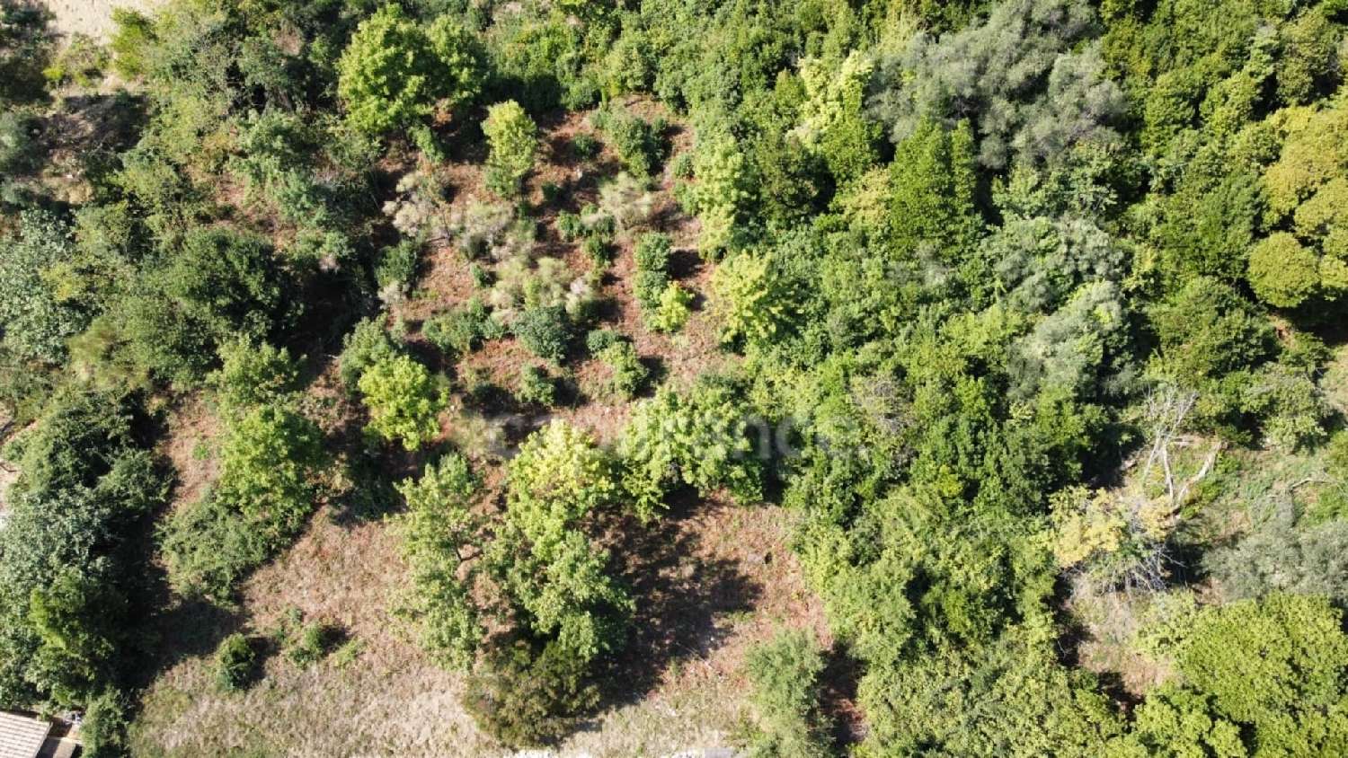 for sale terrain Falicon Alpes-Maritimes 4