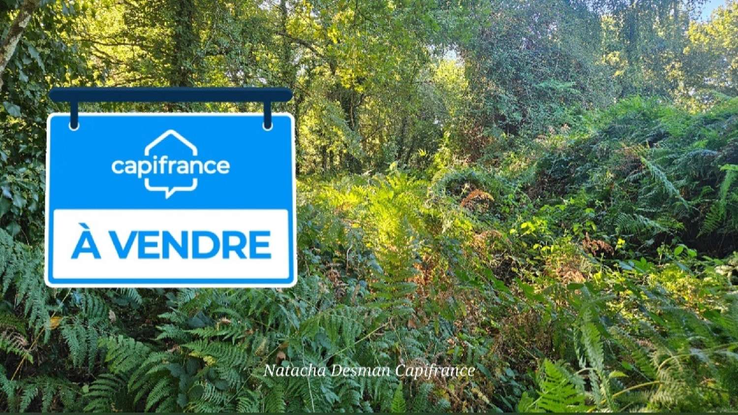 kaufen Grundstück Grayan-et-l'Hôpital Gironde 1