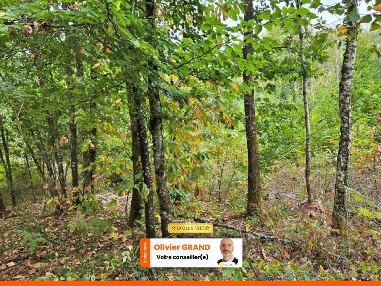 en venta terreno Javerdat Haute-Vienne 1