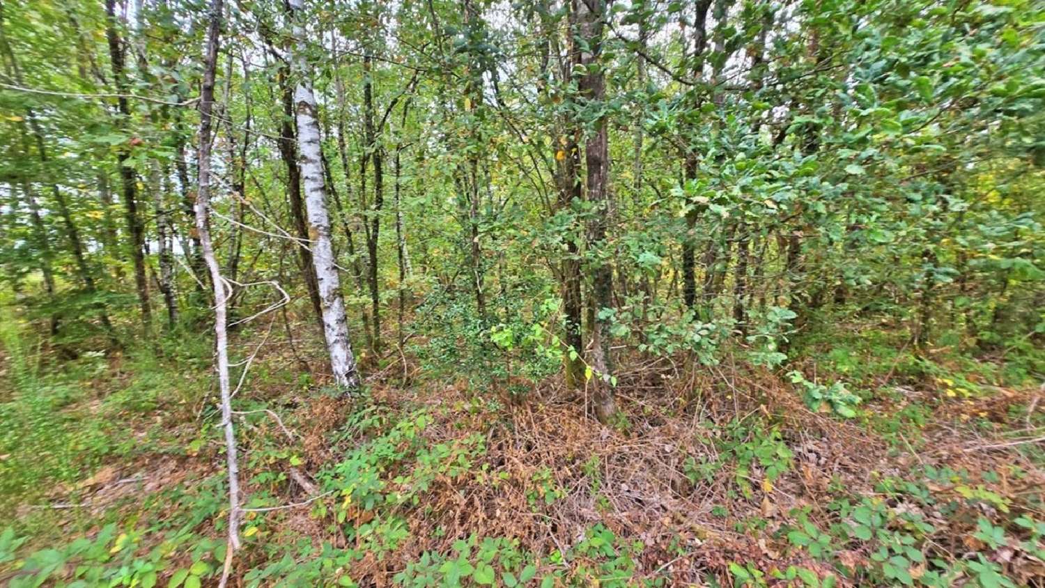 en venta terreno Javerdat Haute-Vienne 3