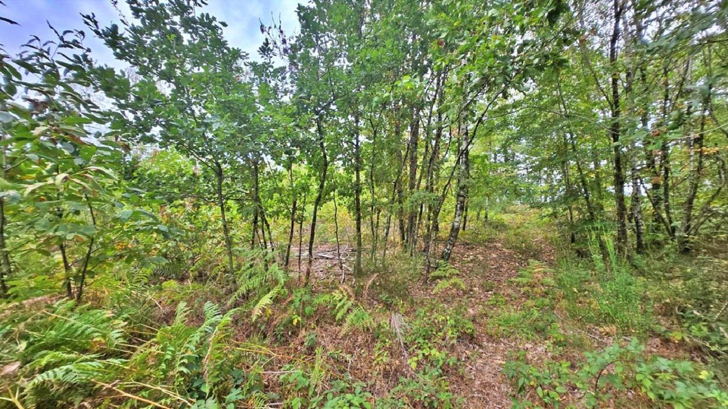 en venta terreno Javerdat Haute-Vienne 5